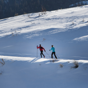 Nordijsko skijanje