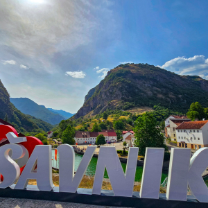 O Šavniku