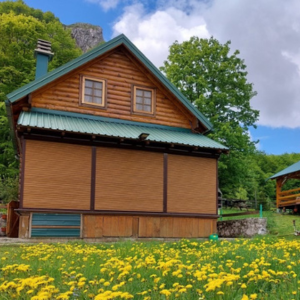 Village household "Bukovica village"