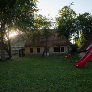 Household Ćirović