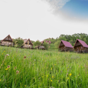 Vojnik rural household